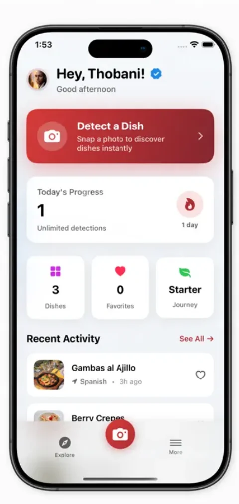 DishDetect — screenshot of the live app
